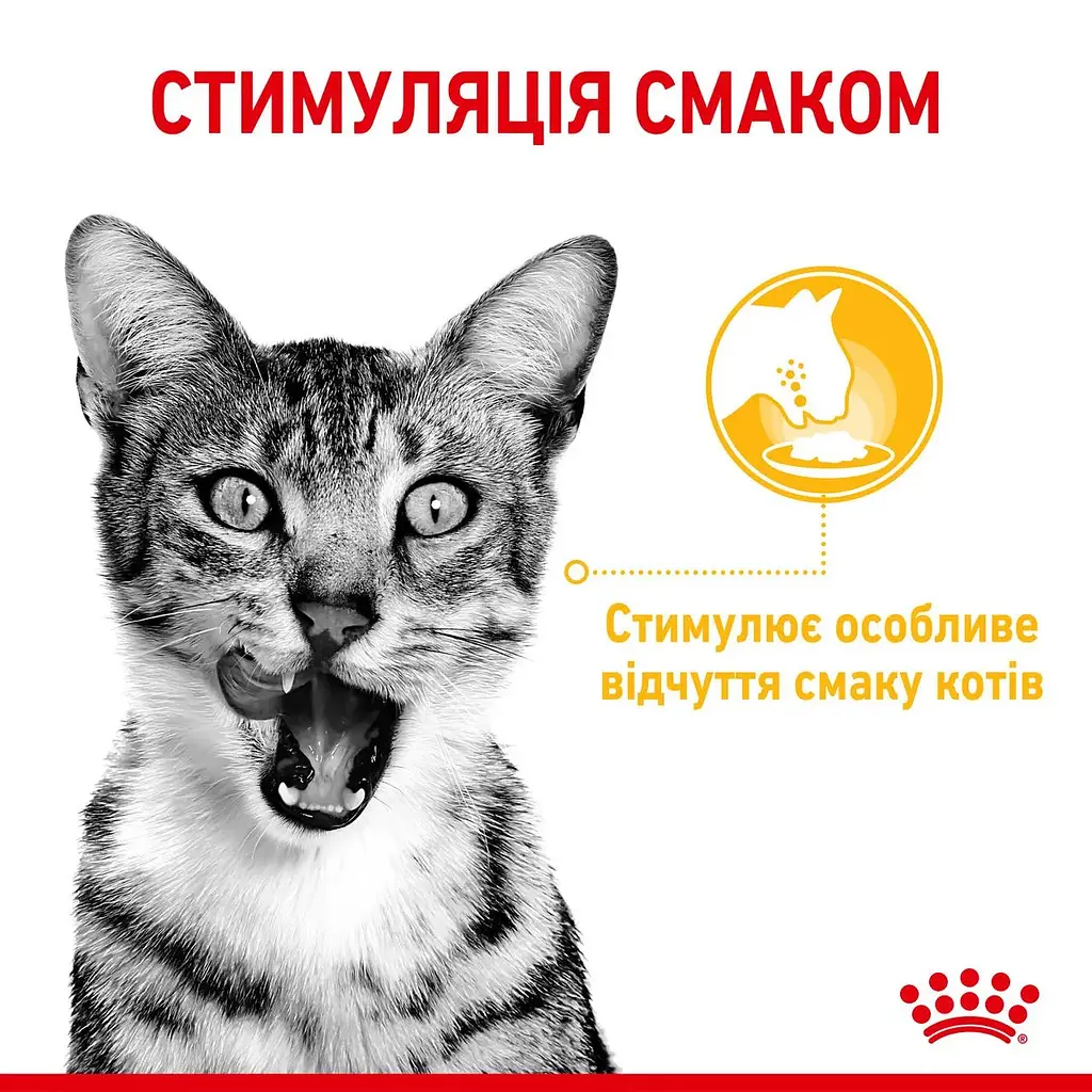 Влажный корм для взрослых кошек Royal Canin Sensory Taste Gravy, кусочки в соусе, 85 г - фото 3