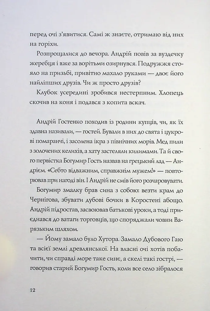 Книга Жорж Витязь та Вірлиця / Наталія Довгопол українською kni0004609 - фото 8