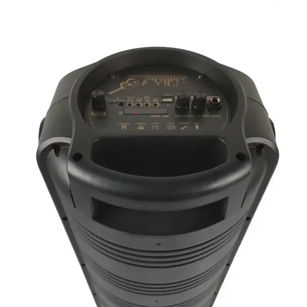 Портативна колонка RX-8228 Акустична система 20Вт RGB підсвічування з мікрофоном і пультом 2x8" Чорний - фото 3