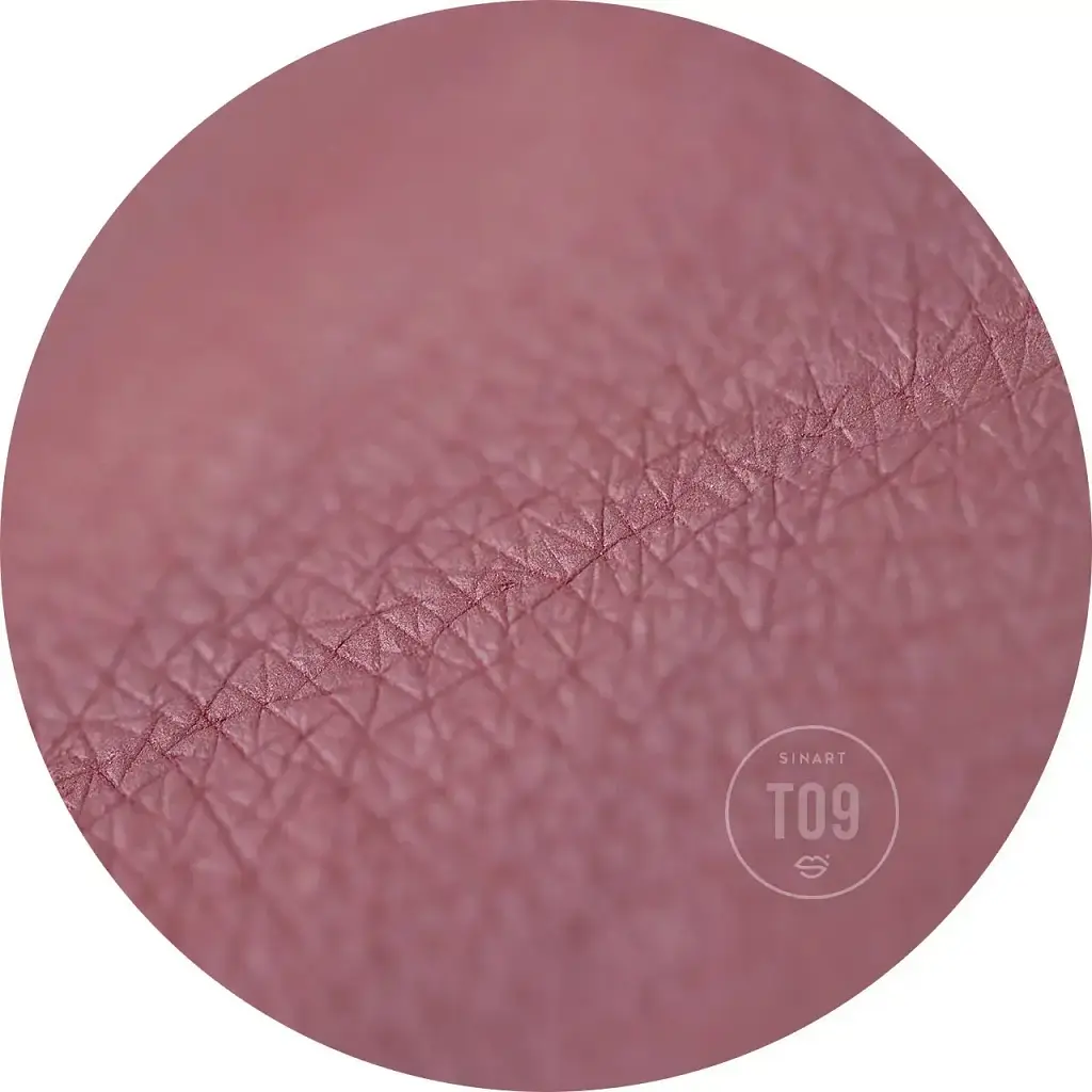 Прессованные тени для век Sinart Extra Dimension Velor Eyeshadow T09 1.5 г - фото 2