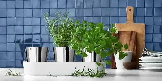 Набор для трав WMF 3 шт GOURMET (0641306040) - фото 3