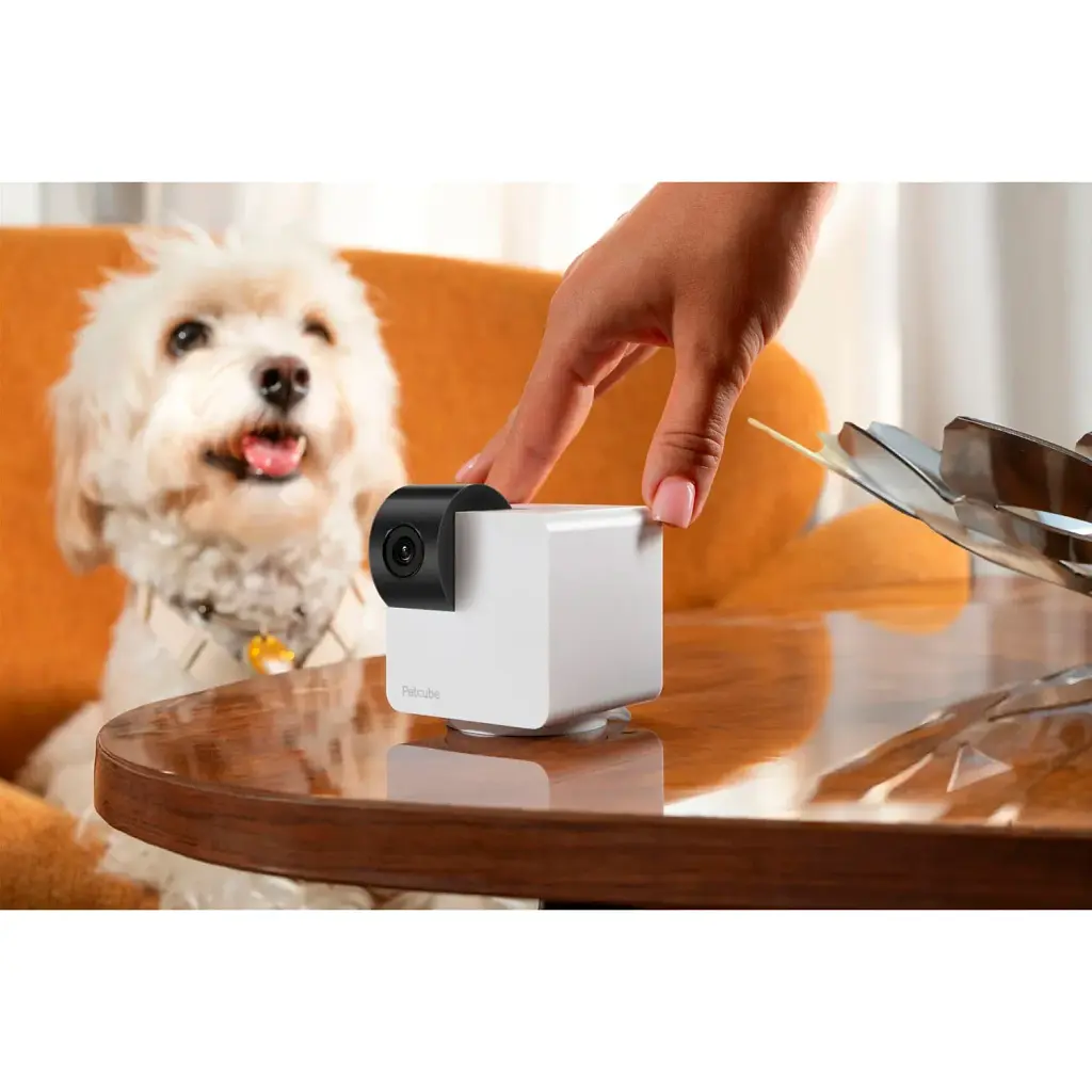 IP-камера для видеонаблюдения Petcube Cam 360 (P36010US) [109823] - фото 5