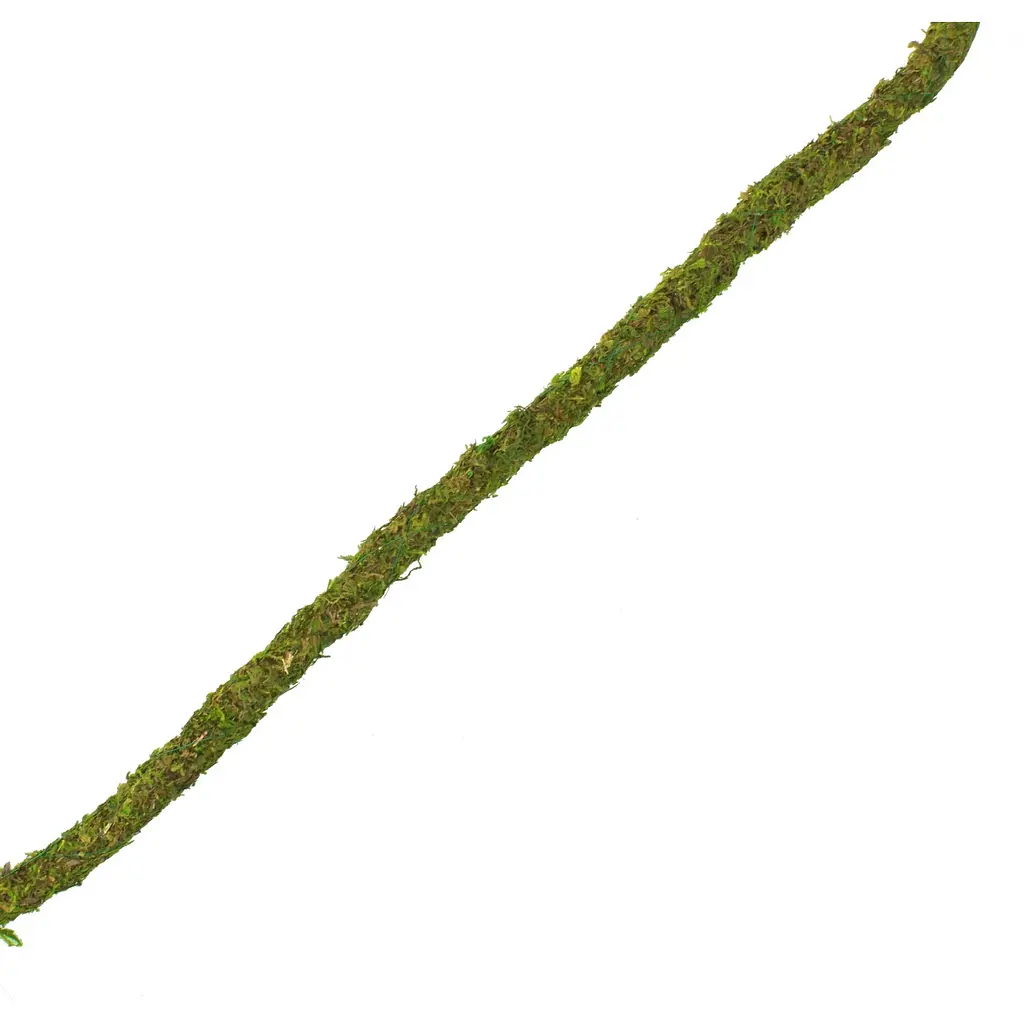 Ліана гнучка з натуральним мохом для тераріуму Repti-Zoo Artificial Moss Vine 1,5см x 2м (RV0215) - фото 2