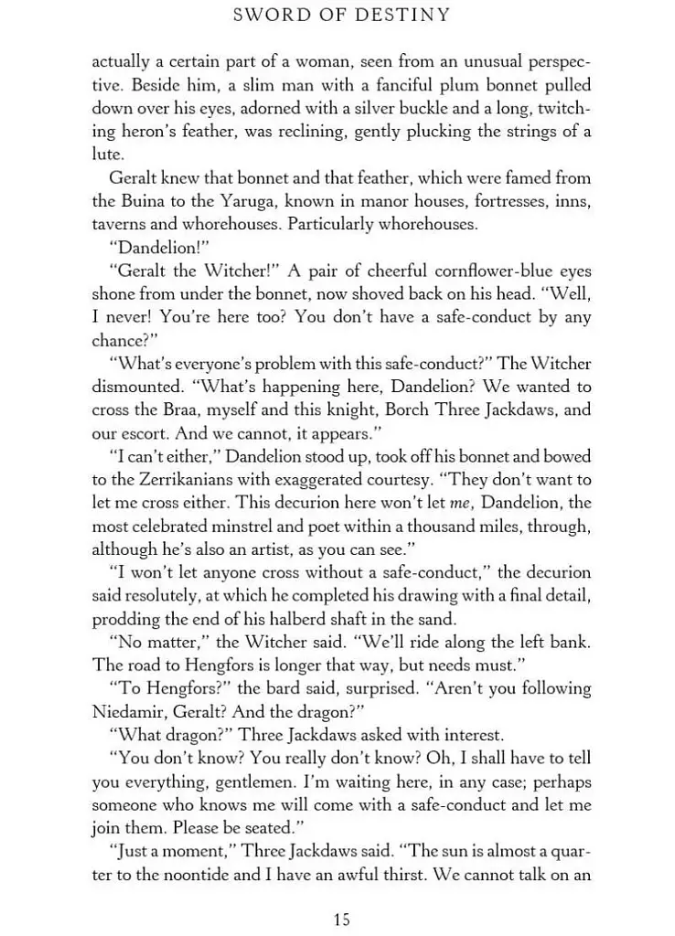 The Witcher. Sword of Destiny - фото 9