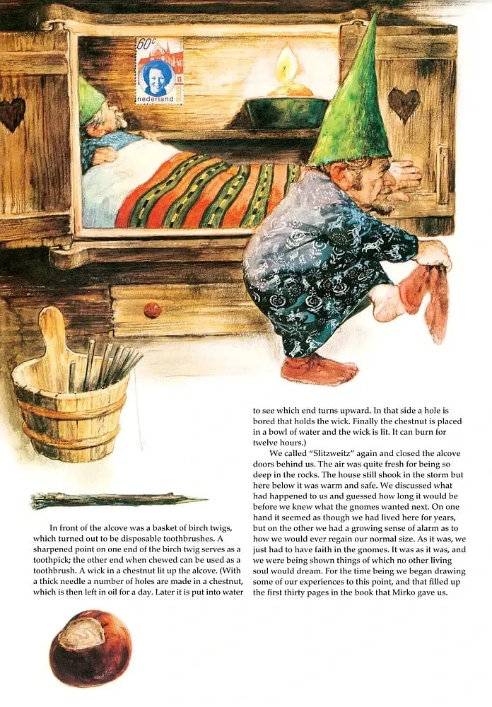 Secrets of the Gnomes - фото 4