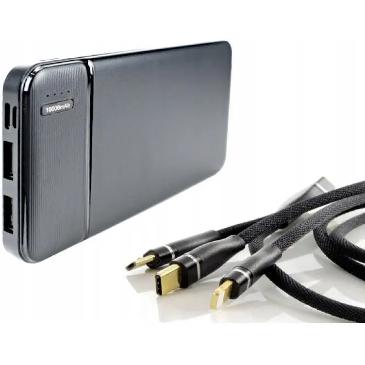 Наружный аккумулятор (Power Bank) Webski 10000 mAh - фото 2