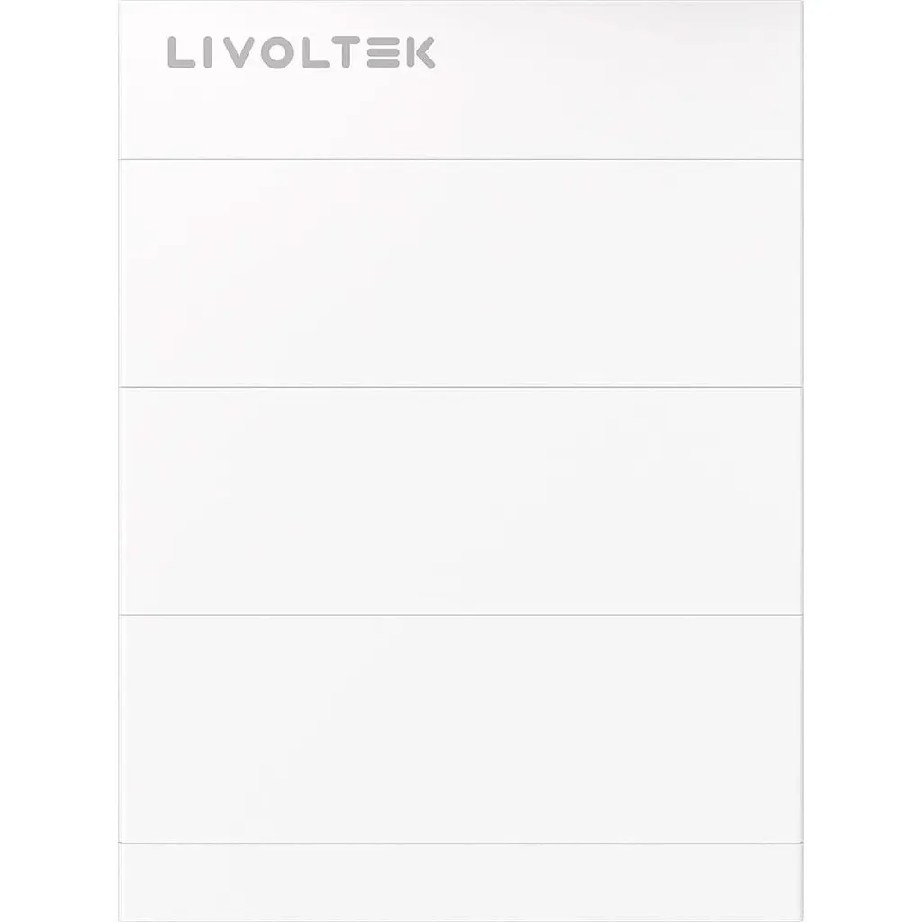 Аккумулятор Livoltek LiFePO4 307.2V/50Ah/15360Wh [BHF-S15.3] [114764] - фото 2