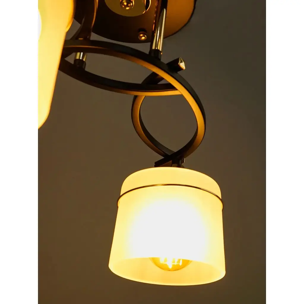 Люстра Brille LK-730S/2 E27 - фото 5