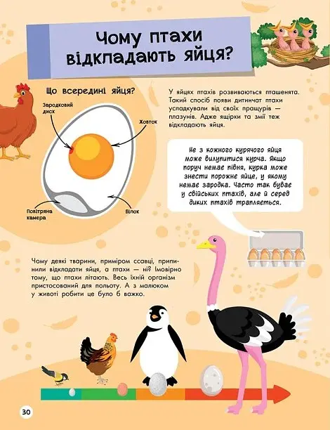 Велика енциклопедія для чомусика - - фото 5