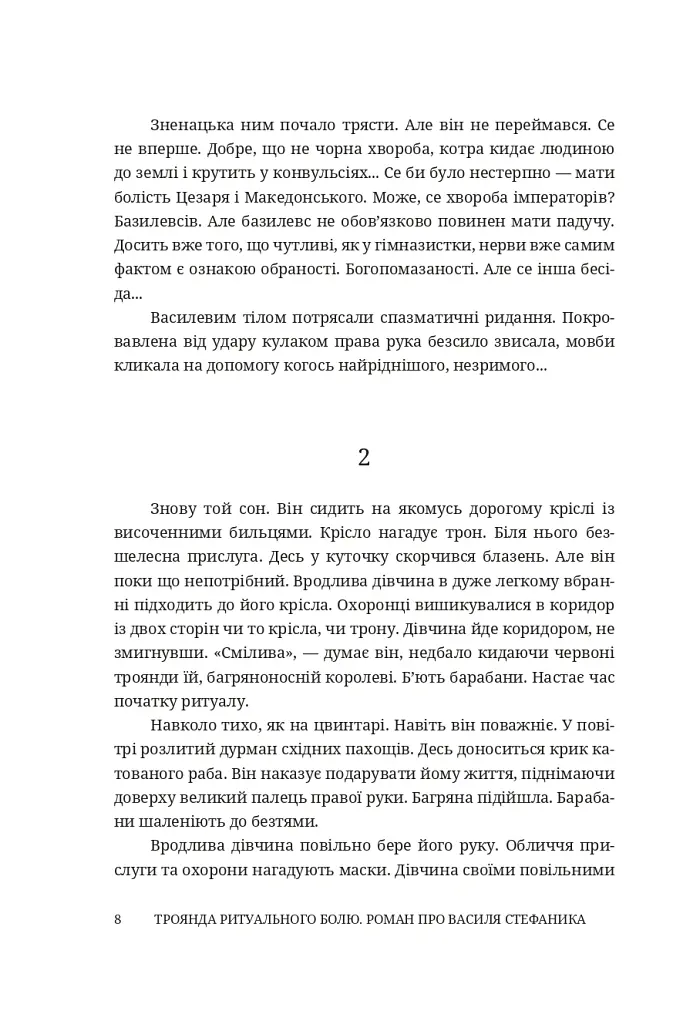 Троянда ритуального болю. Роман про Василя Стефаника - Степан Процюк - фото 6