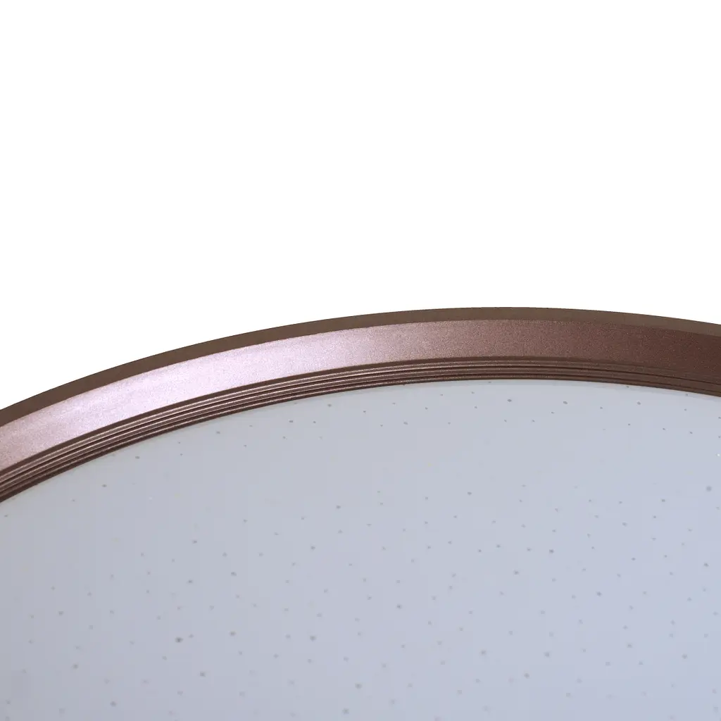 Світильник настінно-стельовий для ванної Brille W-629/20W NW - фото 3