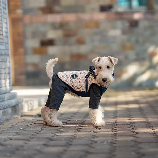 Зимова куртка для собак V.PET.B.R. Luxury Dog Jacket C519 Navy Blue - фото 4