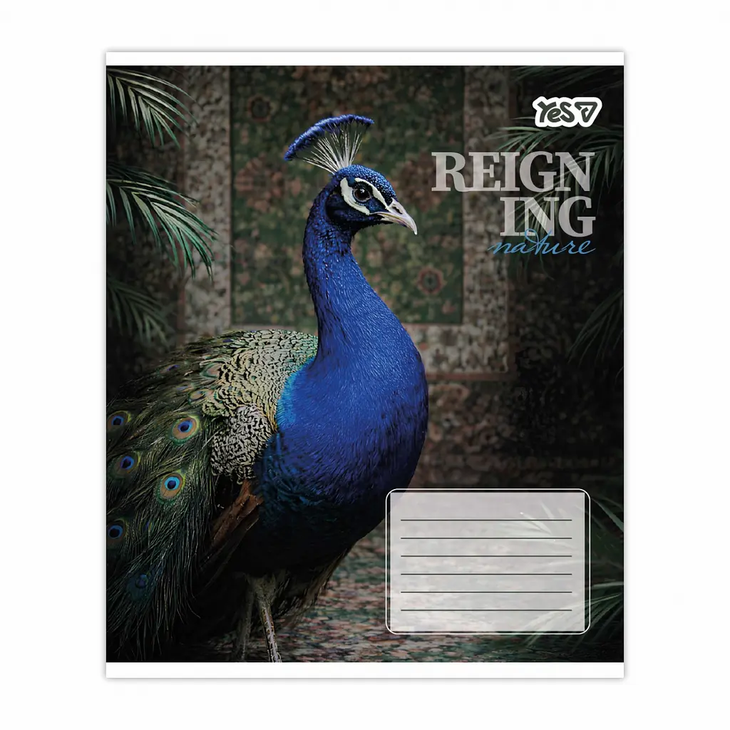 Упаковка зошитів учнівський Yes Reign ing А5 / 48 кл. 10 шт. (769096) - фото 5