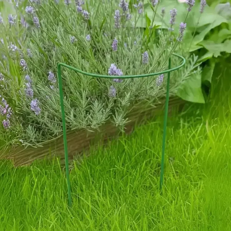 Підтримка для рослин Elsa Півколо-75 (pivkolo-75) - фото 3