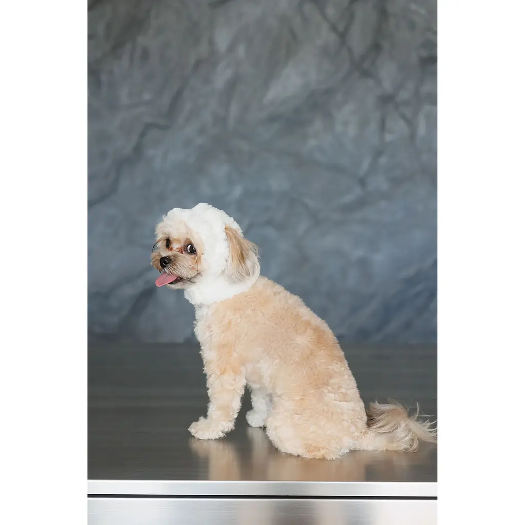 Шапка для собак Pet Fashion Teddy М біла - фото 5