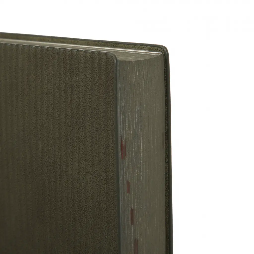 Дневник-деловая записная книжка А5 Leo Planner Velvet 2026 мягкий темно-зеленый 368 страниц (252637) - фото 5