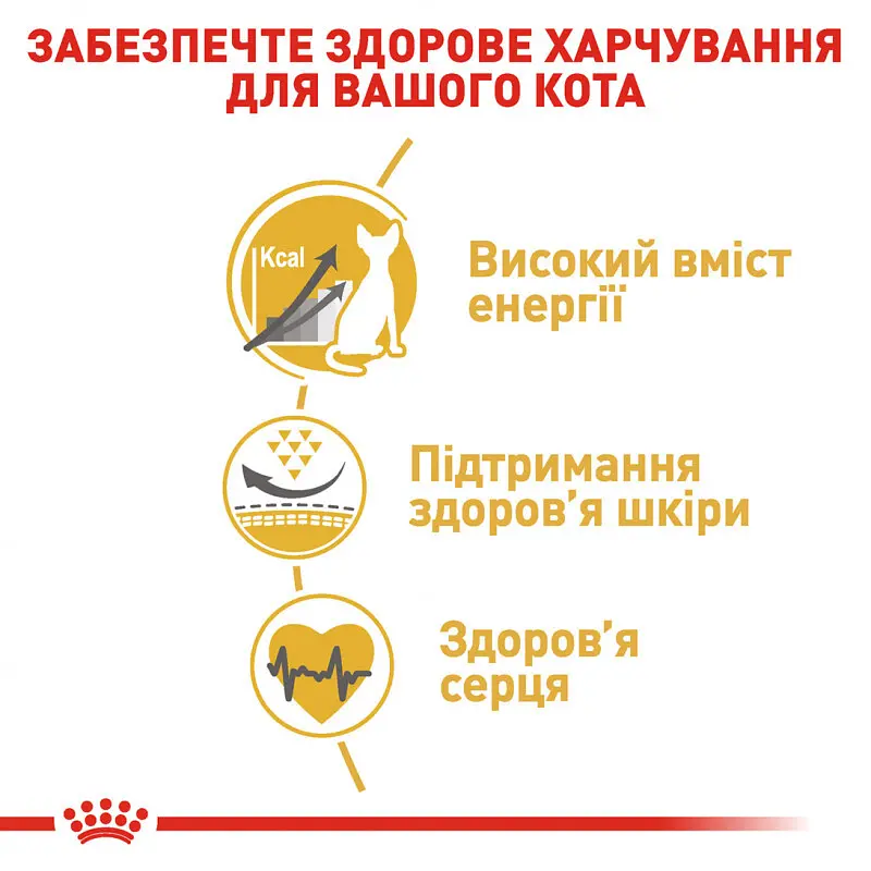 Сухой корм для взрослых кошек породы сфинкс Royal Canin Sphynx Adult, с птицей, 2 кг - фото 4