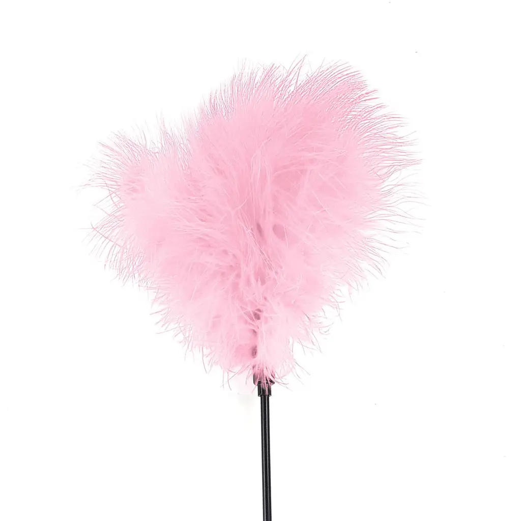 Щекоталка розовая Art of Sex - Feather Paddle, перо молодого индюка - фото 2
