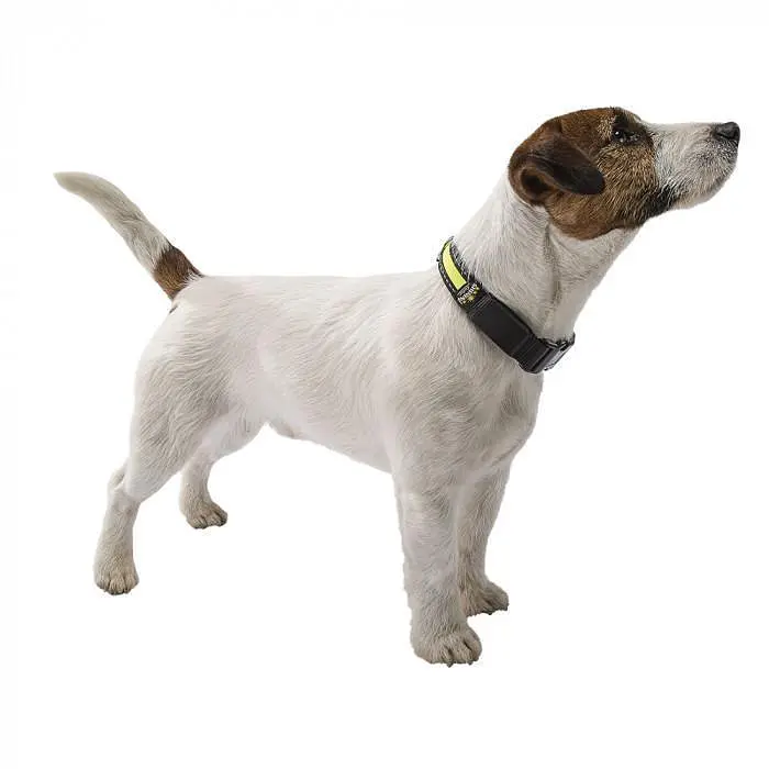 Нашийник для собаки Ferplast Night Collar Small - фото 3