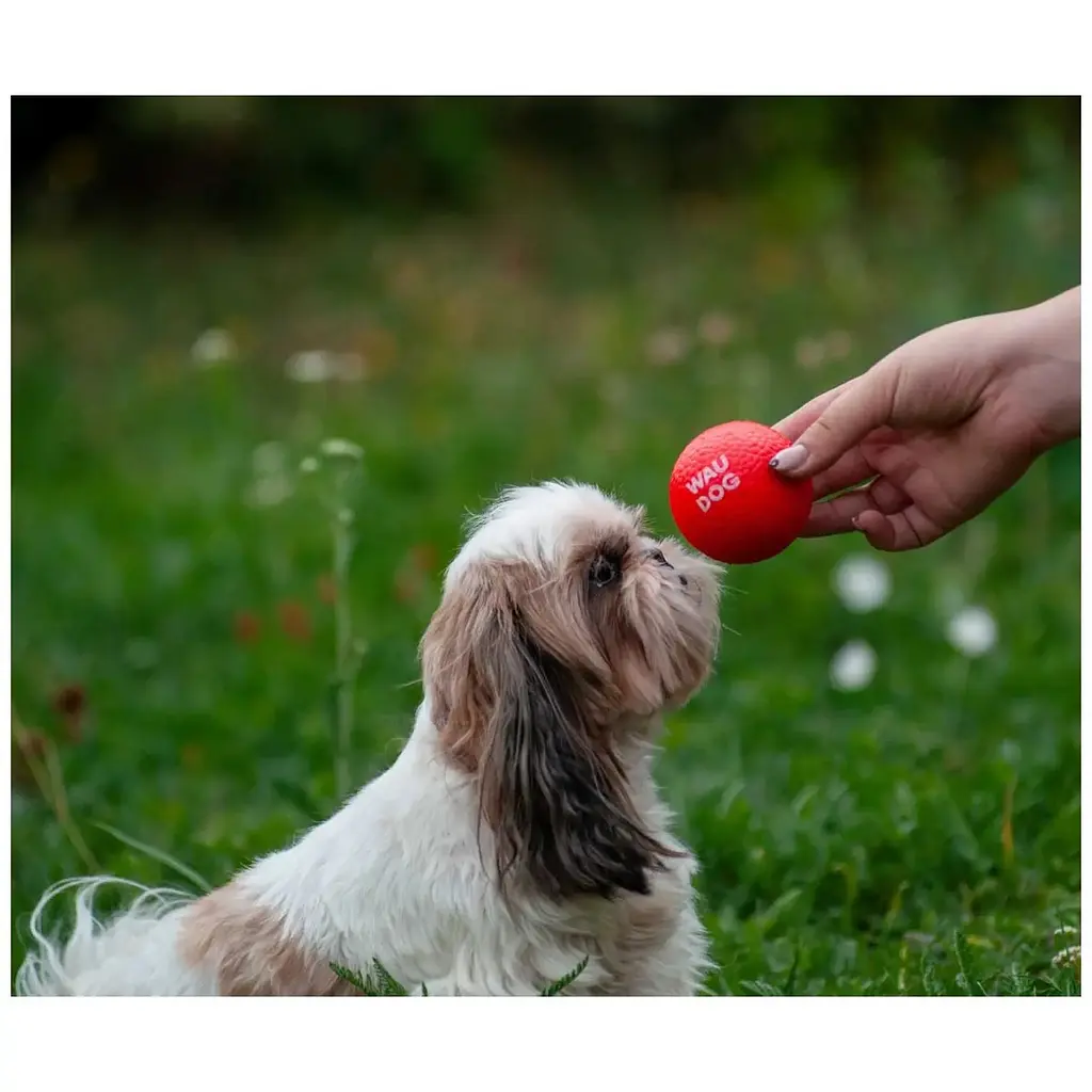 Игрушка для собак Waudog Red Ball 70 мм - фото 8