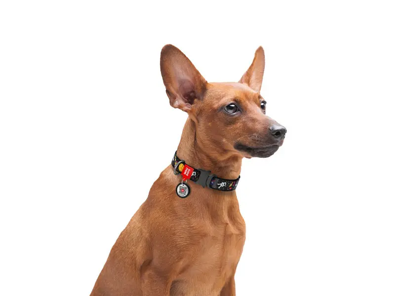 Ошейник для животных WAUDOG Nylon с QR паспортом NASA металлическая пряжка-фастекс S (5119) - фото 6