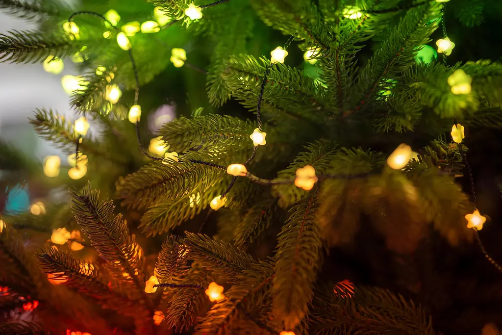 Twinkly Гірлянда Smart LED Twinkly Strings Star RGB 200 IP20 12м USB-C кабель зелений без БЖ - фото 10