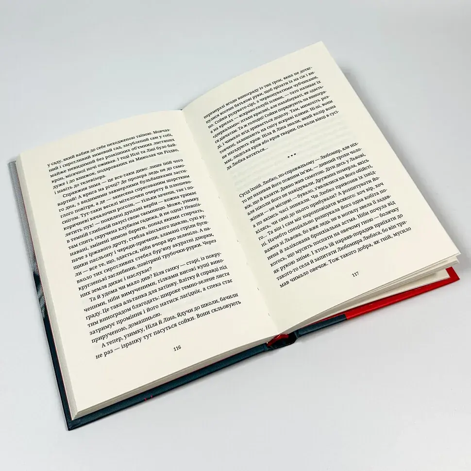 Обійми - Людмила Таран | Видавництво Старого Лева, книга українською, нова, тверда - фото 3
