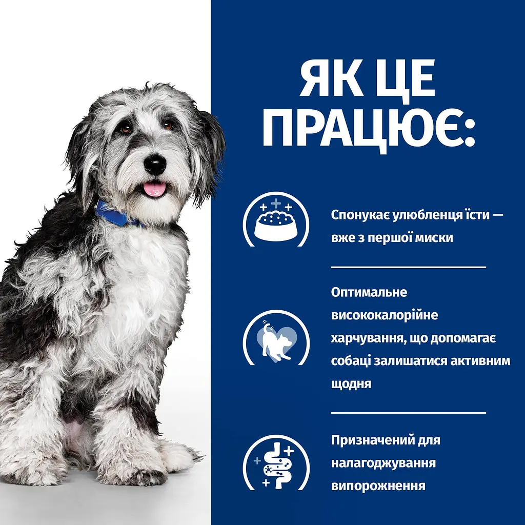 Сухий корм для собак Hill’s Prescription Diet ON-Care для підтримки у період реабілітації, при виснаженні, вт - фото 4