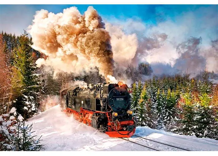 Пазл Castorland Паровоз 1000 ел. (C-103409) - фото 2