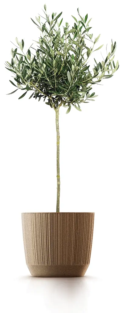 Цветочный горшок Prosperplast Ryfo Eco Wood круглый бежевый 170 мм (82678-4665) - фото 2