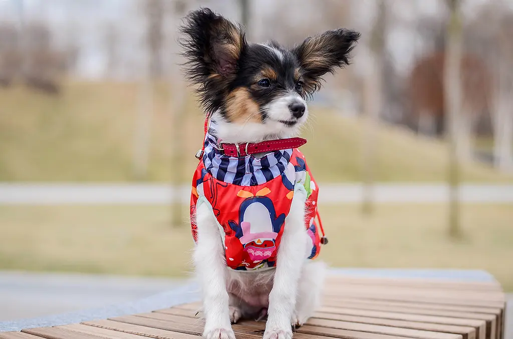 Жилет Smart Pet Пінгвін - фото 3