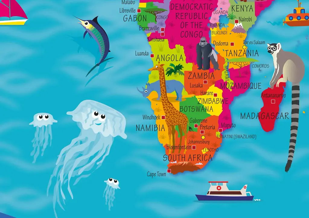 Collins Children’s World Map New - фото 2