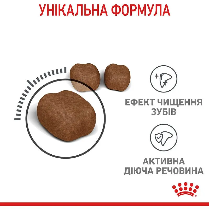 Сухий корм для котів Royal Canin Dental Care, для профілактики утворення зубного нальоту, 1,5 кг (2532015) - фото 7