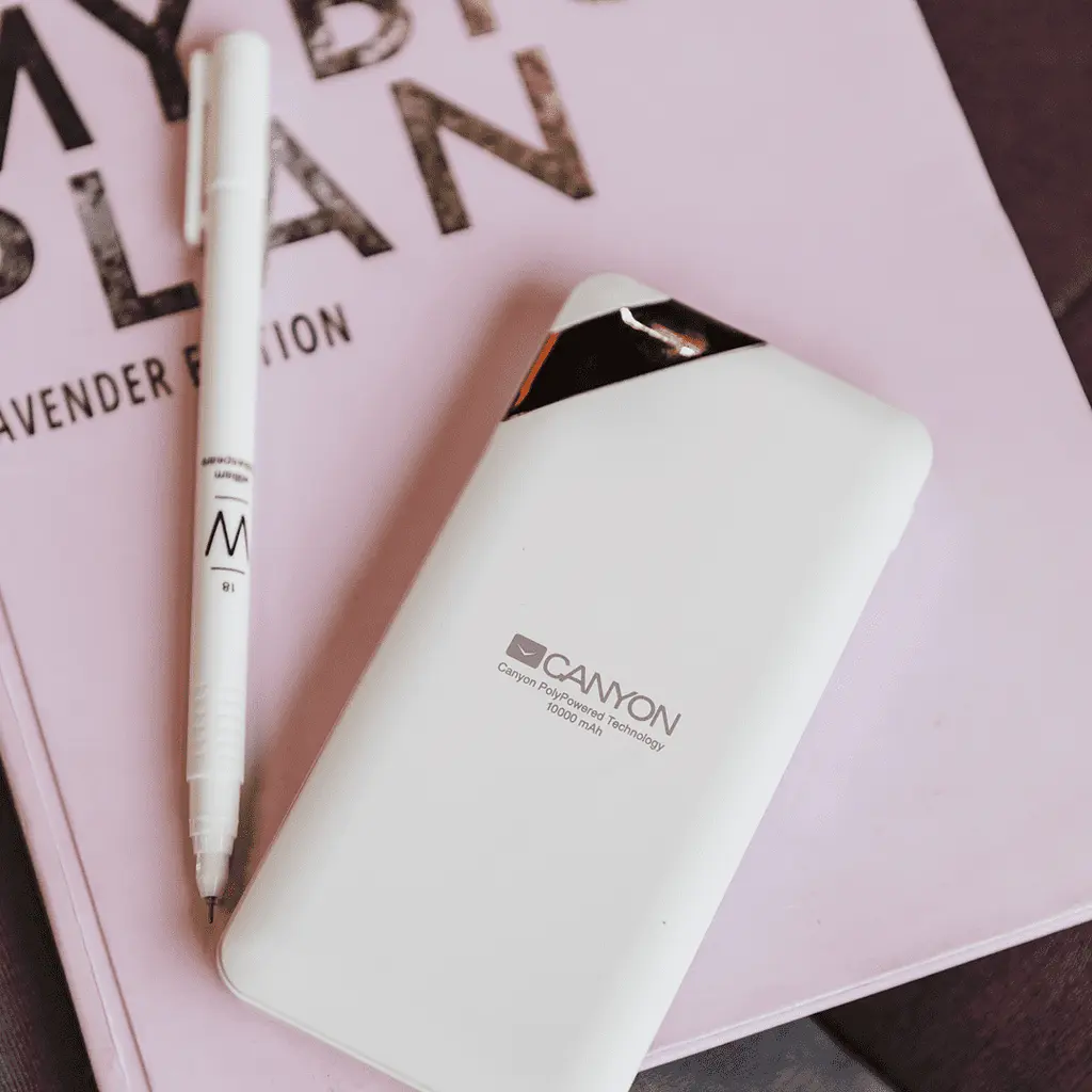 Наружный аккумулятор 10000 mAh Canyon CNE-CPBP10W 2xUSB LED дисплей - фото 4