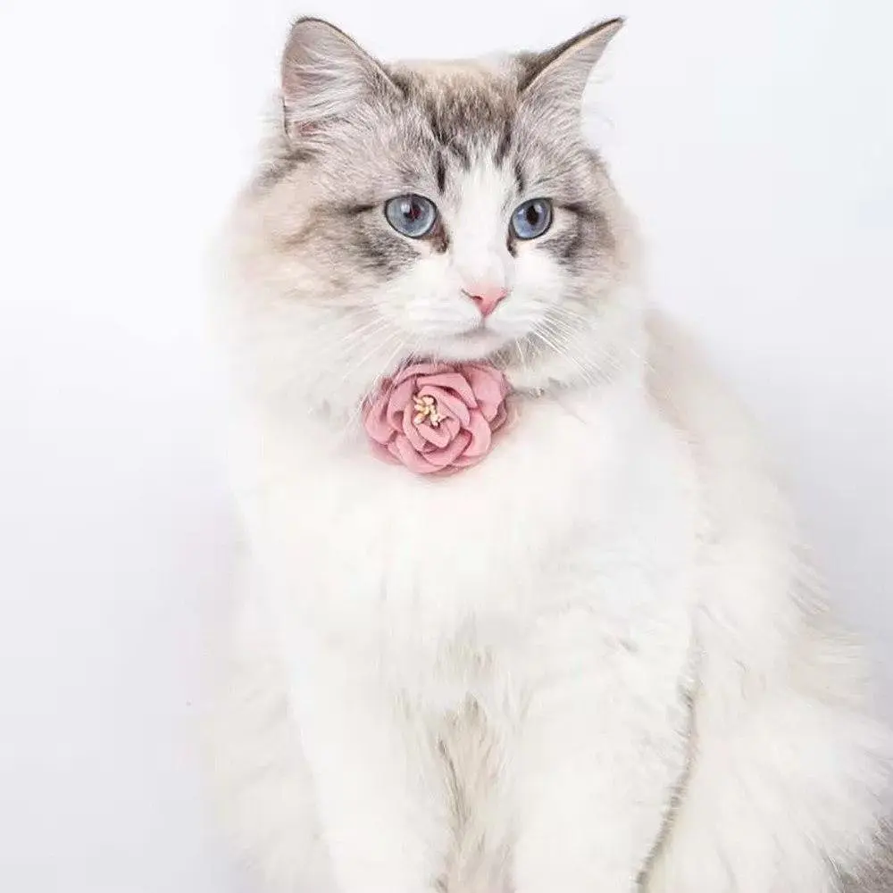 Нашийник для котів Kitty, прикрашений милою квіткою - фото 2