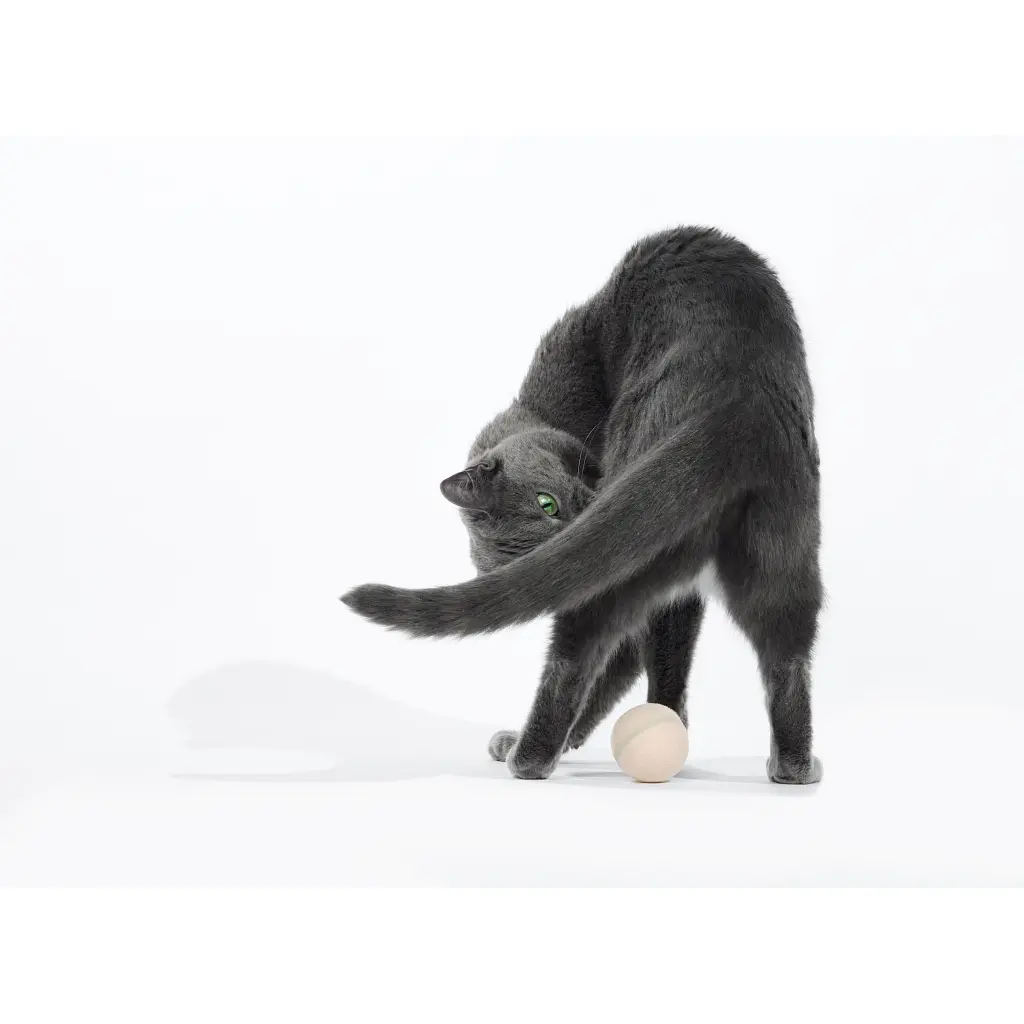 Іграшка для котів Cheerble Wicked Ball M3 (Apricot Beige) (CWQ02A) - фото 9