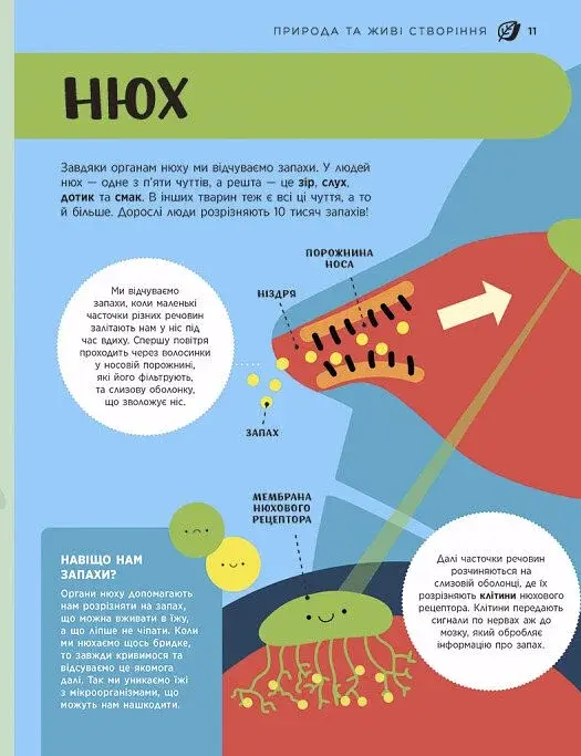 Енциклопедія STEM для дітей: 100 понять майбутнього генія - фото 12