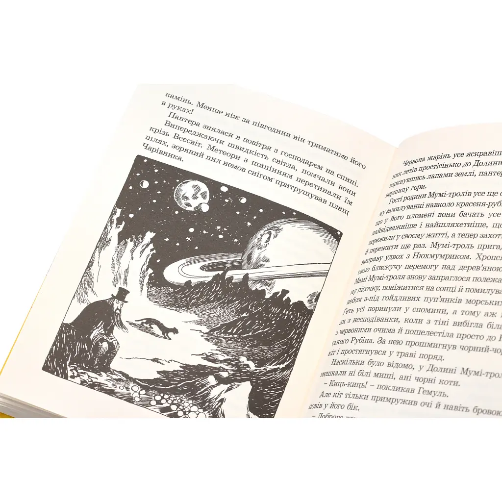 Книга Країна Мумі-тролів. Книга 1 - Туве Янссон Видавництво Старого Лева (9786176796466) - фото 8