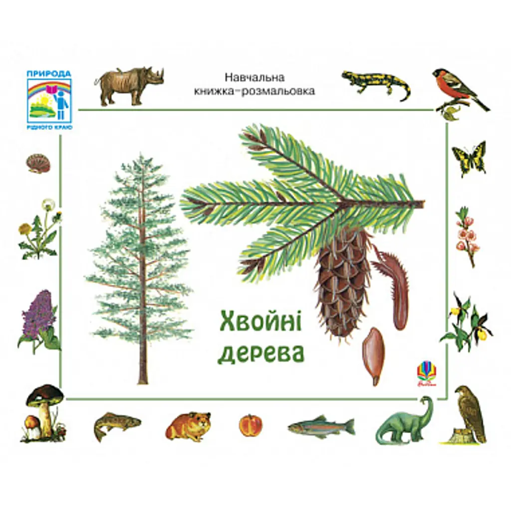 Хвойні дерева. Навчальна книжка-розмальовка - Ервін Айгнер