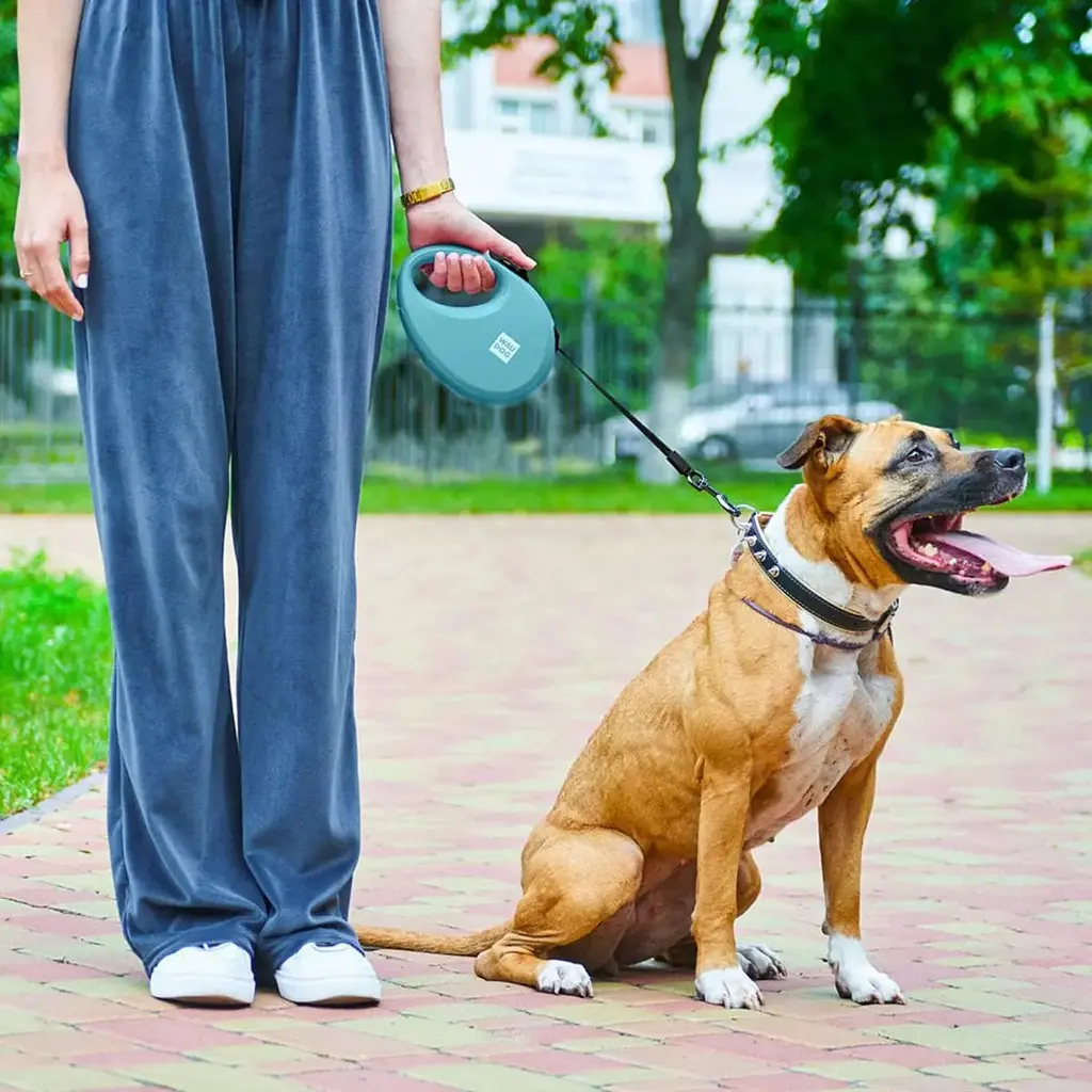 Повідець-рулетка для собак Waudog R-leash з контейнером для пакетів, світловідбивна стрічка, L до 40 кг, 5 м блакитний - фото 10