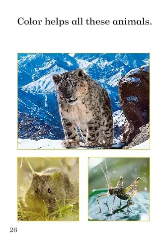 Ladybird Readers. Level 1. Animal Colors - фото 2