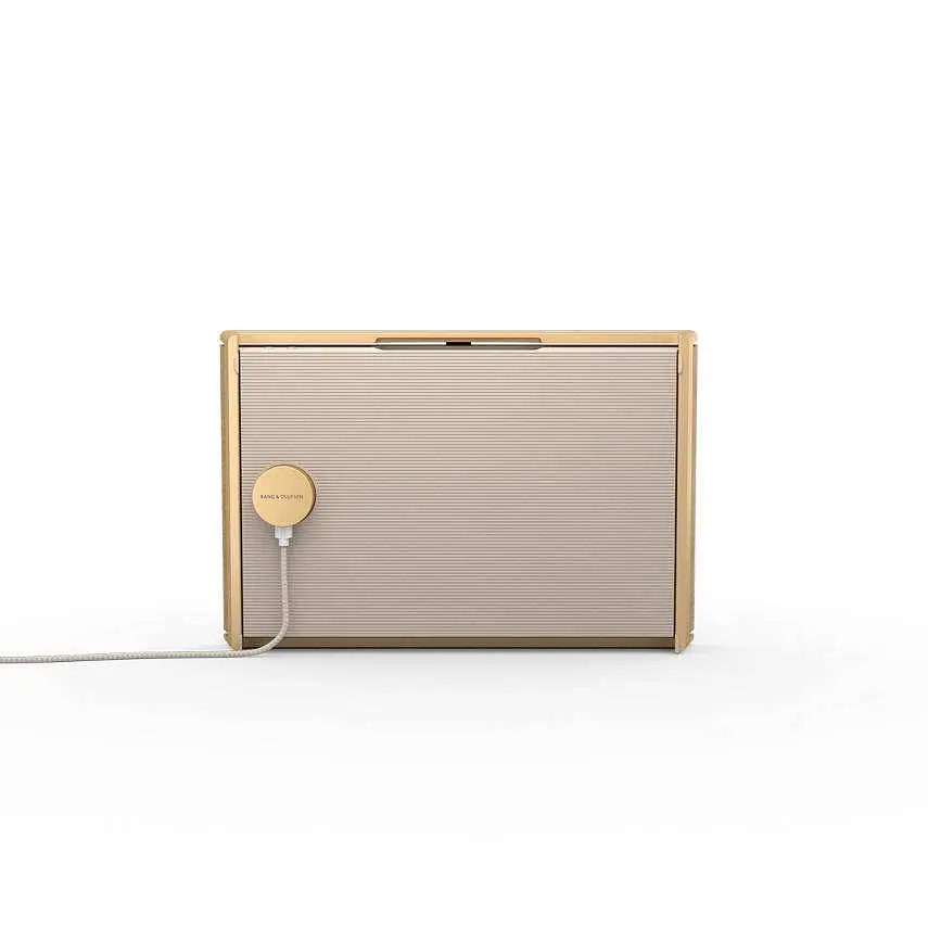 Акустическая система Bang & Olufsen Beosound Level Gold TOne Alu/Light Oak - фото 7