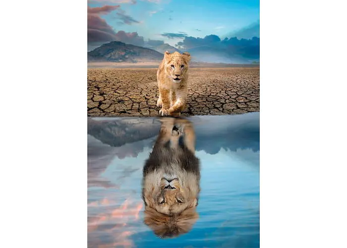 Пазл Clementoni Super: Особисте відображення (Super - Self Reflection Puzzle - 300 pcs.), 300 ел. (21719) - фото 2