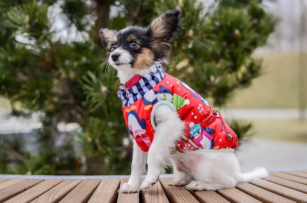 Жилет Smart Pet Пінгвін - фото 2