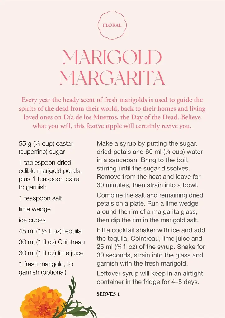The Botanical Cocktail Deck of Cards. 50 Cocktail Recipe Cards Inspired by Nature - фото 6