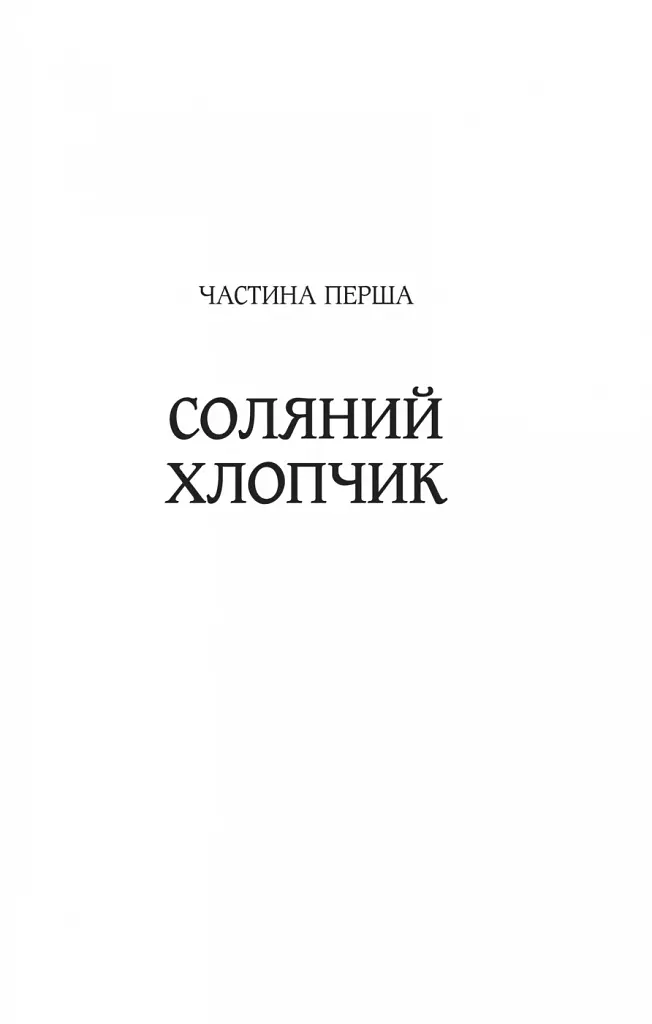 Ловець тіні - фото 16