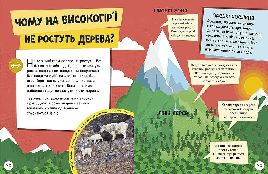 Енциклопедія юних розумників Ранок Допитливим сюди. ДОВКОЛАПИТАНЬ - Ненсі Дікман (НЕ1745007У) - фото 8