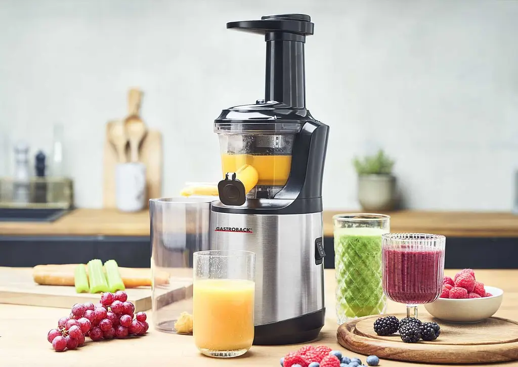 Соковижималка Gastroback Slow Juicer Advanced Vital (40145) - фото 5