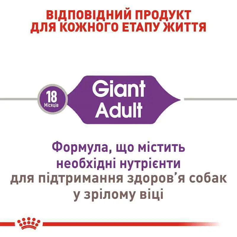Сухой корм для взрослых собак больших размеров Royal Canin Giant Adult, 4 кг (3009040) - фото 8