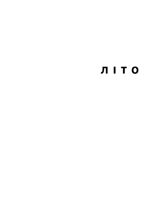 Літо, діти, осінь, зима, війна і весна - фото 3